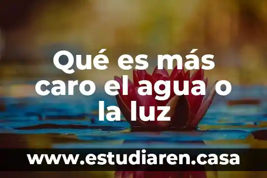 Qué es más caro el agua o la luz