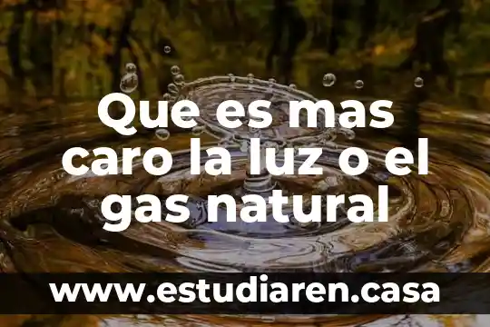 ¿Qué es más caro chilis o applebee's? 5 Que es mas caro la luz o el gas natural