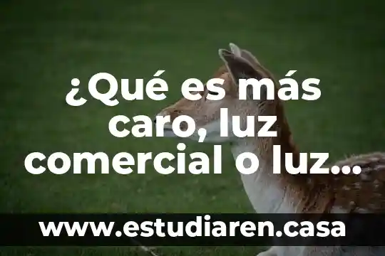Por que es importante el sistema comercial 4 ¿Qué es más caro, luz comercial o luz casa?