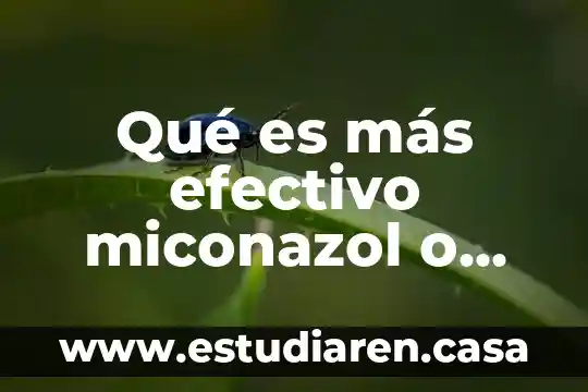 Qué es más efectivo miconazol o clotrimazol