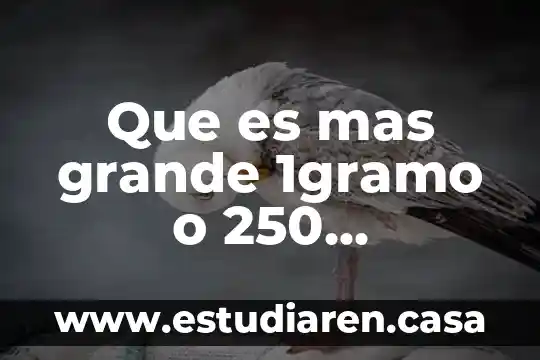 Que es mas grande once doceavos o un entero 8 Que es mas grande 1gramo o 250 miligramos