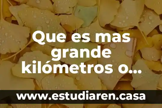 Que es mas grande kilómetros o millas
