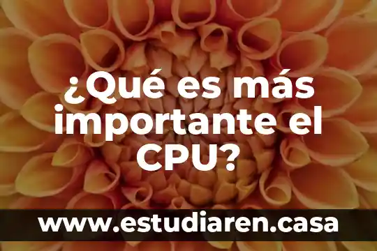 ¿Qué es más importante el CPU?