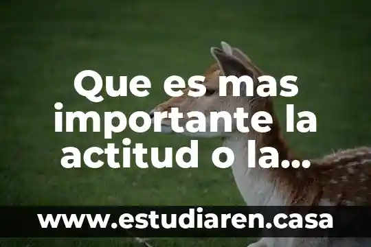 Que es por lo que mas sufren un adolescentes 6 Que es mas importante la actitud o la habilidad