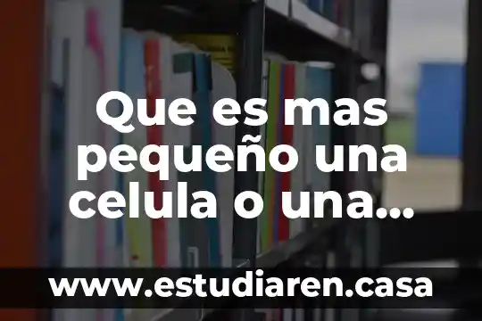 Qué es célula haploide 6 Que es mas pequeño una celula o una enzima