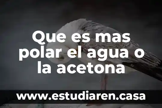 Que es mas polar el agua o la acetona