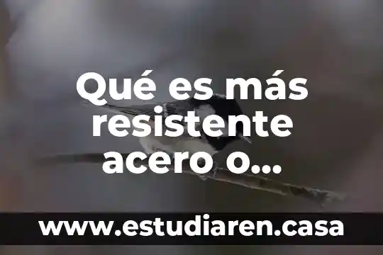 Que es mas dulce el nectar o el jugo 5 Qué es más resistente acero o policarbonato en casquillo