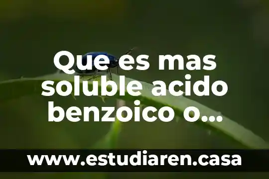 Almidón por qué es orgánico 5 Que es mas soluble acido benzoico o almidon