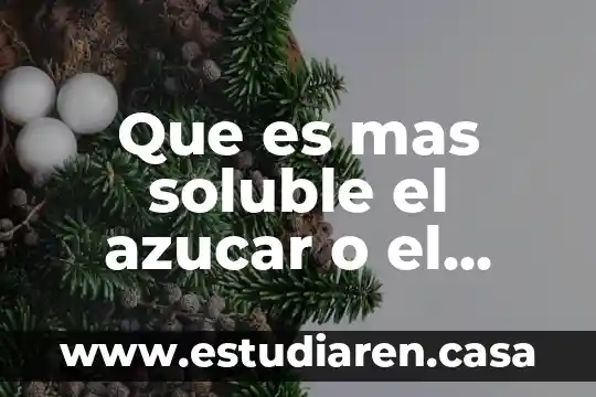 Almidón por qué es orgánico 6 Que es mas soluble el azucar o el almidon