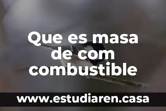 Que es masa de com combustible