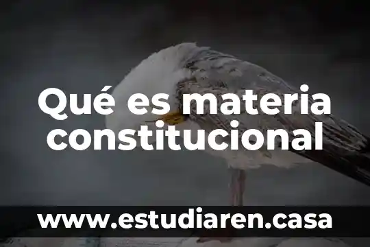Que es la naturaleza corpuscular de la materia 5 Qué es materia constitucional