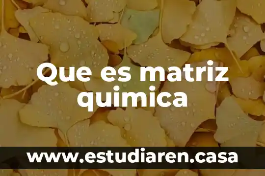 Que es matriz quimica