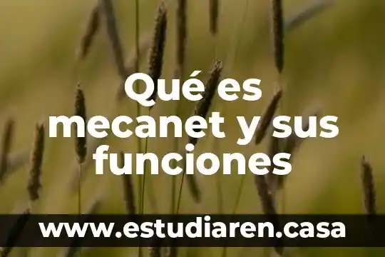 Qué es mecanet y sus funciones