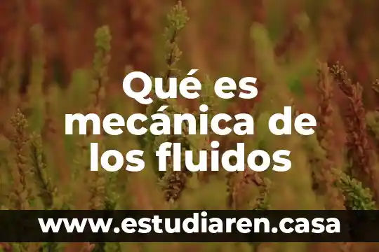 Que es el ambiente un cuento 7 Qué es mecánica de los fluidos