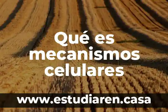 Cinemática de mecanismos que es 4 Qué es mecanismos celulares
