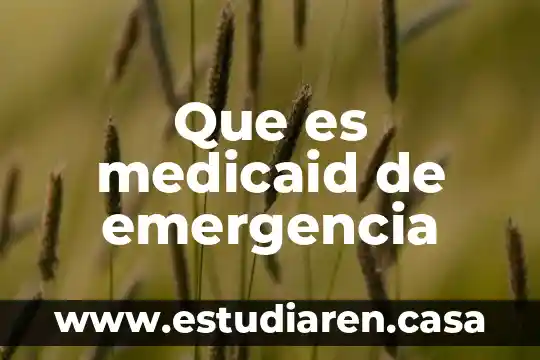 Que es medicaid de emergencia