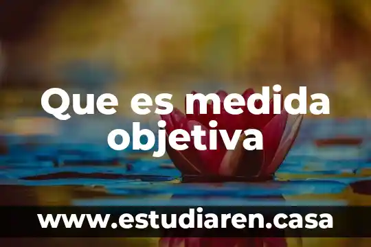 Que es it unidad de medida 4 Que es medida objetiva