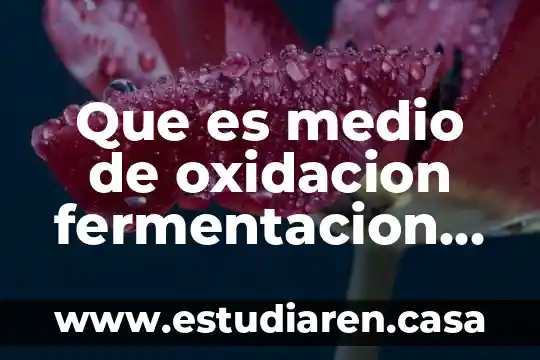 Qué es oxidación en la vida cotidiana 7 Que es medio de oxidacion fermentacion bacteriologia