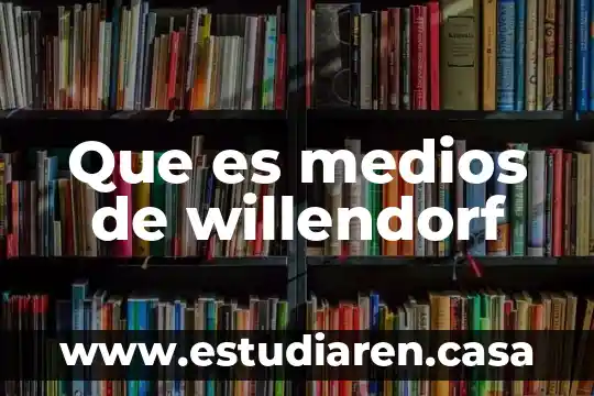 Que es un personaje incidental en un cuento 4 Que es medios de willendorf