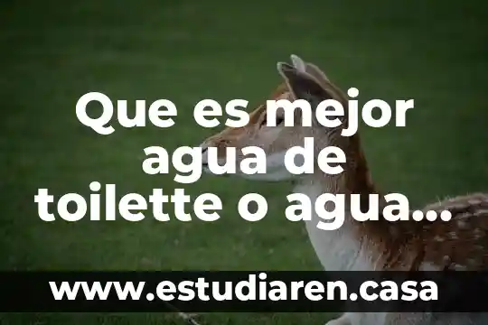 Que es mejor agua de toilette o agua de perfume