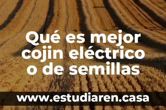 Qué es mejor cojin eléctrico o de semillas