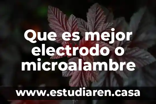 Que es mejor electrodo o microalambre