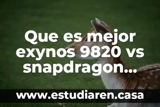 Qué es mejor infamil o nan 3 Que es mejor exynos 9820 vs snapdragon 855