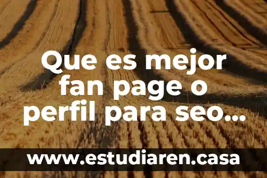 Que es trabajo de seo 3 Que es mejor fan page o perfil para seo google