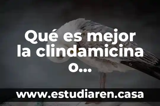 Sram o shimano que es mejor 3 Qué es mejor la clindamicina o ciprofloxacino