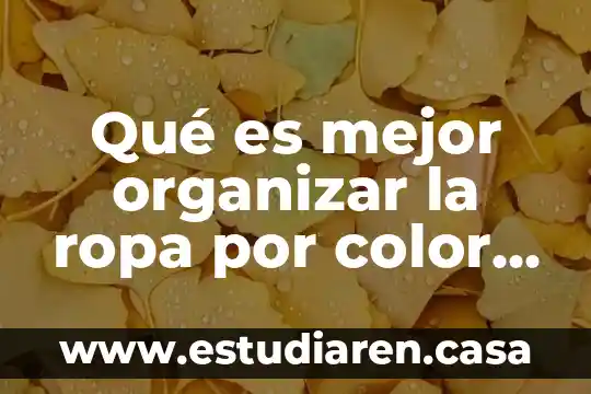 Qué es mejor organizar la ropa por color o por estaciones