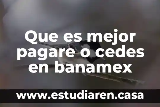 Qué es un pagaré término juridicamente 8 Que es mejor pagare o cedes en banamex