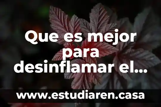 Qué es mejor dish o vetv 2017 4 Que es mejor para desinflamar el dexametasona