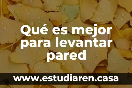 Qué es el antígeno específico de la pared celular 4 Qué es mejor para levantar pared