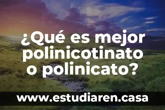 Ensayo de que es la lectura 6 ¿Qué es mejor polinicotinato o polinicato?