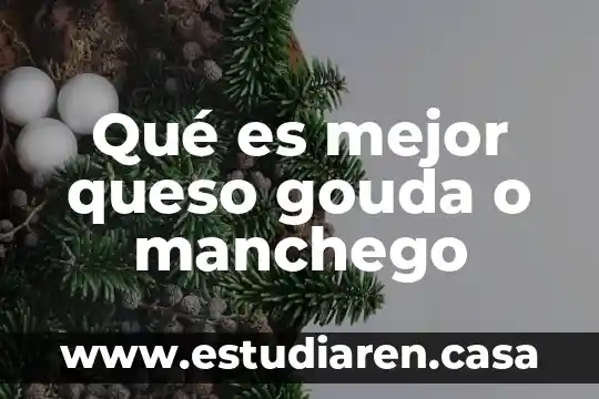 Qué es mejor queso gouda o manchego