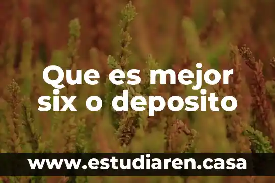 Qué es mejor infamil o nan 8 Que es mejor six o deposito