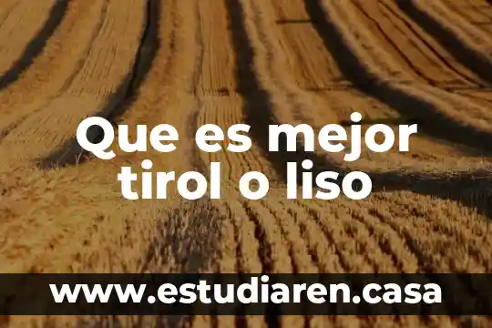 Reticulo endoplasmatico liso que es y su funcion 4 Que es mejor tirol o liso