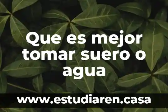 ¿Qué es mejor visitar Morelia o Guanajuato? 3 Que es mejor tomar suero o agua