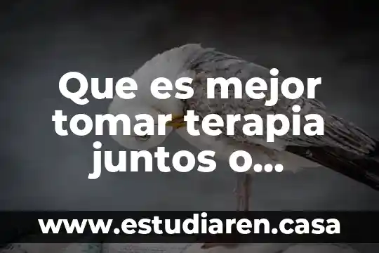 Que es mejor tomar terapia juntos o separados