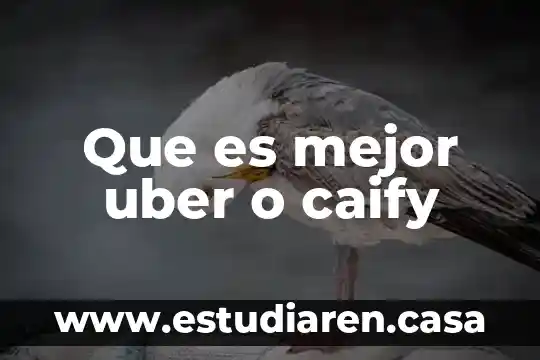 Que es mejor uber o caify