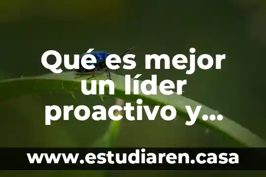 Que es ser proactivo y como saber si lo eres 8 Qué es mejor un líder proactivo y reactiva