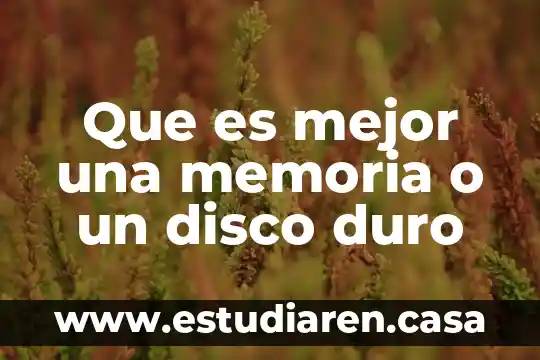 Memoria de gráficos disponible que es 7 Que es mejor una memoria o un disco duro