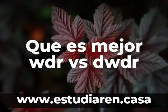 Timewise vs botanical effects que es mejor 7 Que es mejor wdr vs dwdr