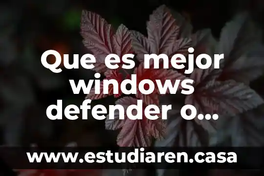 Que es mejor windows defender o avira