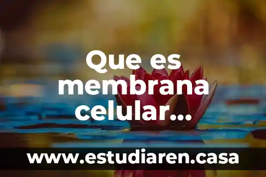Que es membrana celular significa