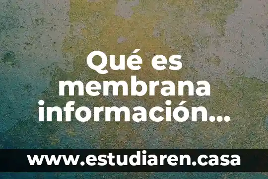 Qué es membrana información corta