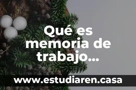 Que es in en enfermeria 3 Qué es memoria de trabajo profesional