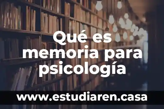 Memoria de gráficos disponible que es 4 Qué es memoria para psicología