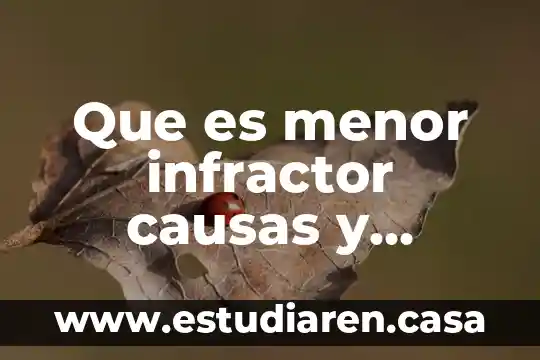 Que es menor infractor causas y consecuencias