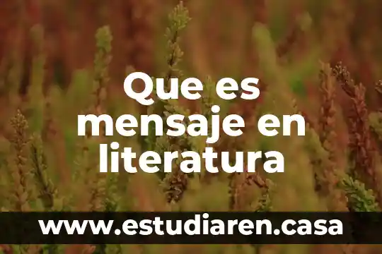 Que es mensaje en literatura